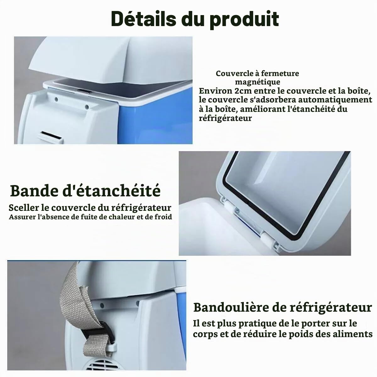 Générique Glacière Électrique Portable 7.5L 12V Refroidit + Réchauffe Mini réfrigérateur pour Voiture Camping avec Câble Prise Allume-cigare