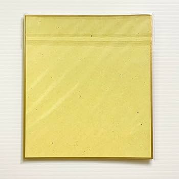 Amazon.co.jp: 銀魂 土方十四郎 ビジュアルコレクション 色紙ART 武州