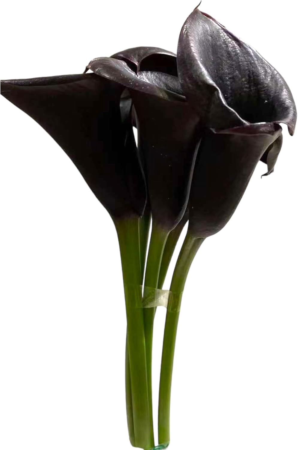 Next-day delivery 10 Calla Lilies Fresh Cut Flowers Bouquet Prime Delivery Gifts for Birthday Anniversary Friendship and Love Flower Arrangement (Black)