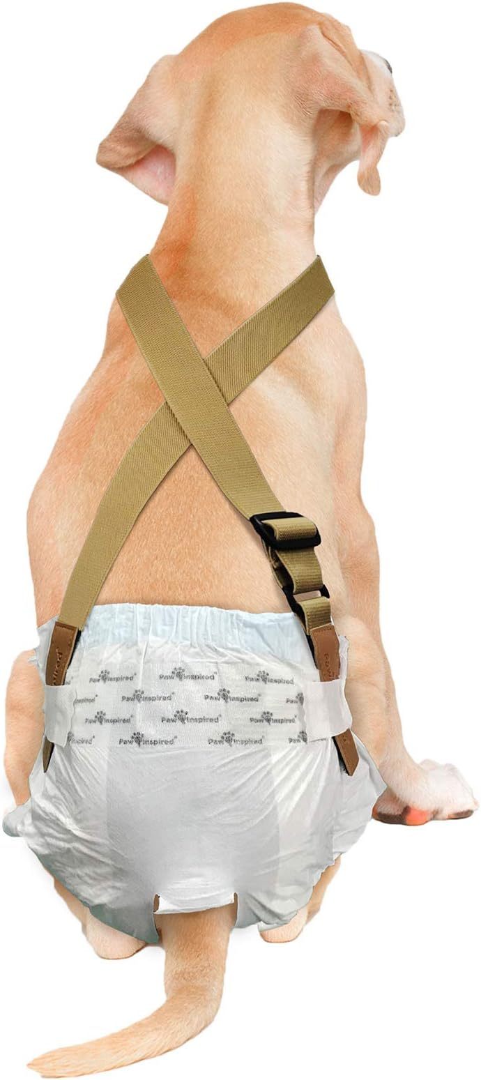 Paw Inspired Dog Diaper Suspenders with Velcro Fasteners | Stretchy Adjustable Suspenders for Female and Male Disposable and Washable Diapers | Fits Small, Medium and Large Size Pets (S/M, Brown)