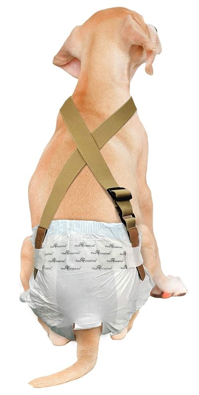 Suspensório para Fraldas e Faixas de Cães Paw Inspired Marrom Tamanho S/M