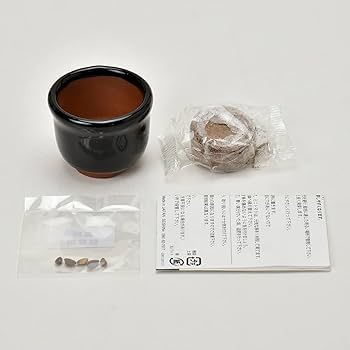 【まめ…5月１日迄】 718ccDa-gUL._UF350,350_QL50_.jpg