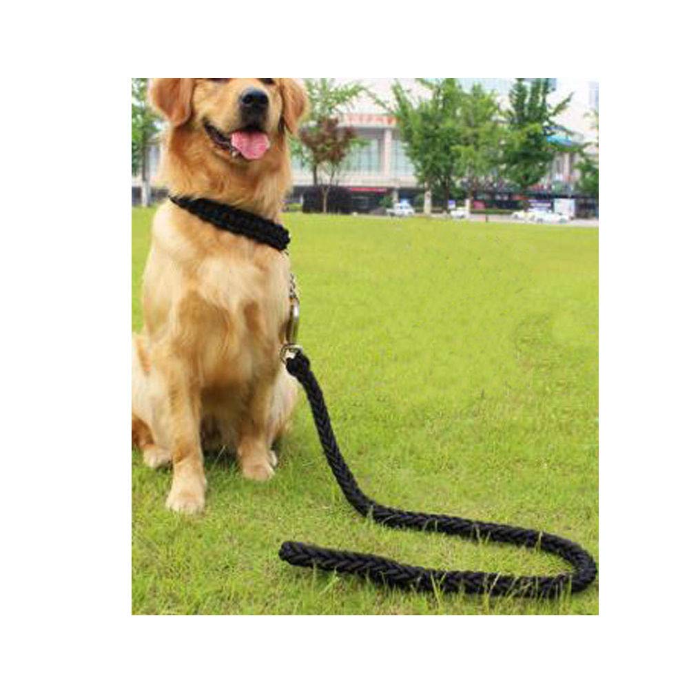 REYG Laisse De Dressage pour Chiens Laisse De Dressage pour Chiens à Double Extrémité pour Collier De Tête Et Harnais sans Tirette Laisse De Dressage Noire pour Petits Chiens Et Chiens,Black