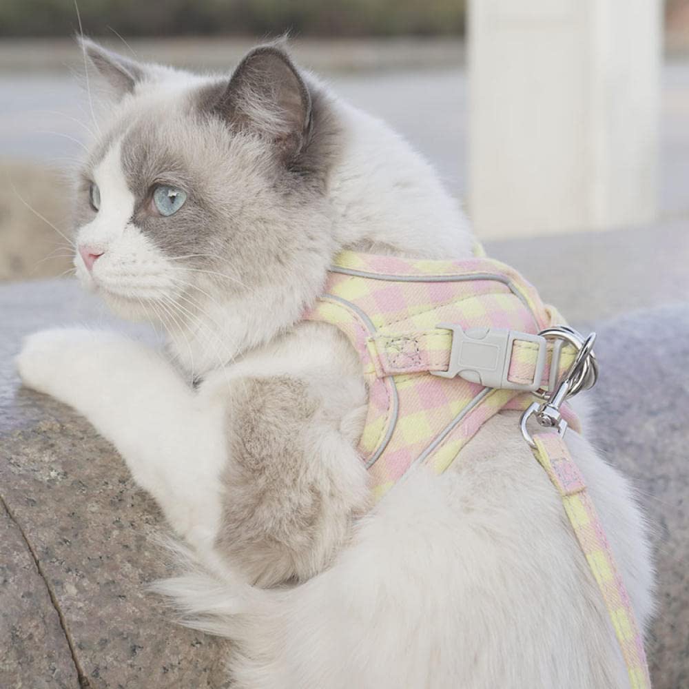 Correa para Mascotas, Chaleco Violeta, Collar Ajustable para Cachorros y Gatos, Juego de Correa para pasear, arneses, Collar para Perros pequeños, Talla M (XXL)