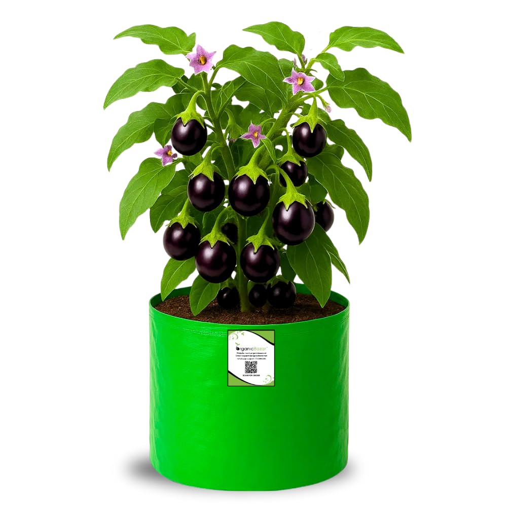 Big Fruit Plant Grow Bags - Organic Bazar (Pack of 2) -10 Big Fruit Plant Grow Bags - Organic Bazar (Pack of 2) -10