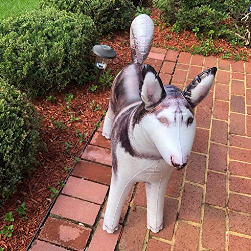 Jet Creations Inflatable Husky Dog Alaskan Pet Animal 32 Inch Long For Party Decoration Gift Stuffed Animals Pool Toy An-Husky, Multi #TOP5