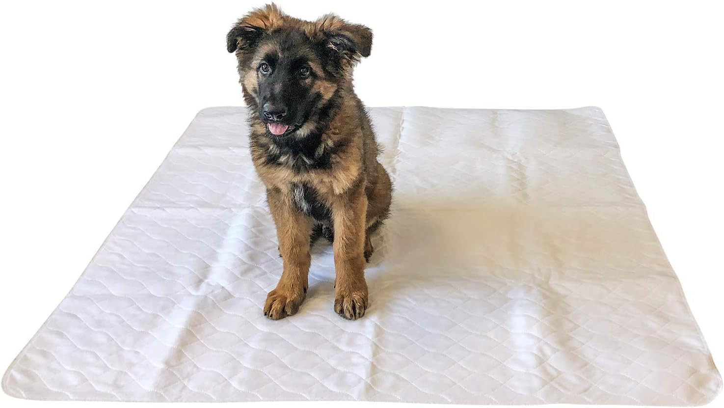 Midlee 47" x 47" Dog Pee Pad- Pack of 2- Washable & Reusable Large Puppy Potty Training Pad