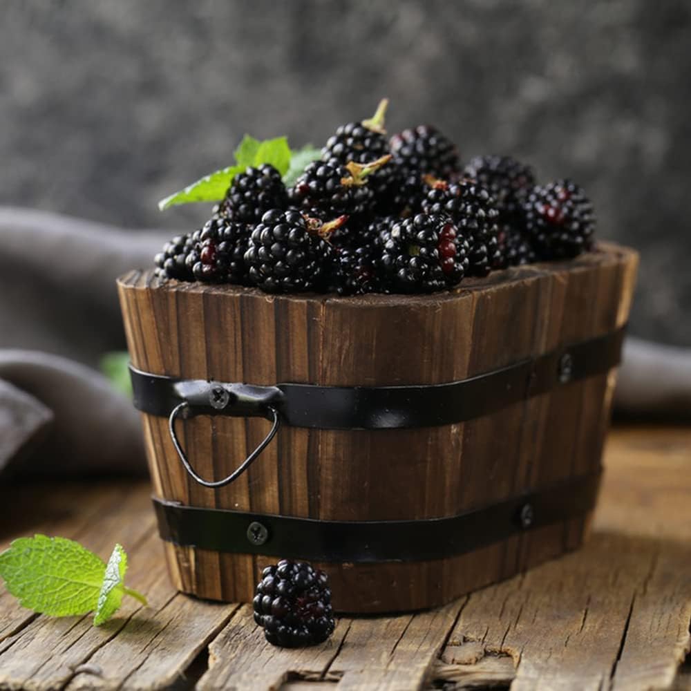 Frambuesas Semillas De Plantas Fruta Fresca Plantas De BalcóN Terraplanter Semillas De Frambuesas Suculentas Semillas De áRboles Frutales áRboles Frutales Semillas De Plantas 50 Semillas De Frambuesa