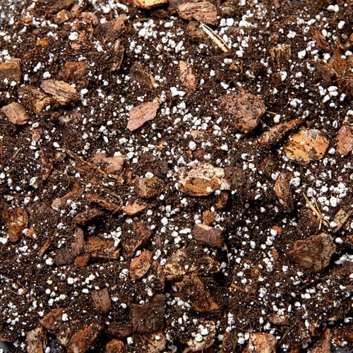 Premium Orchid Potting Mix with Biochar & Coco Coir Fine Orchid Bark Perlite & Gentle Organic Feed Fast Draining Soil for Phalaenopsis & Indoor Orchids (1L)