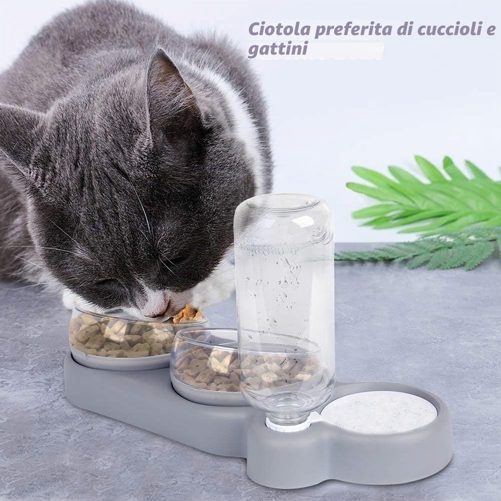 Set Ciotola Rialzata Per Gatti Ciotola Inclinata 15° Con Ciotola Per L'acqua Per Cani Gatti