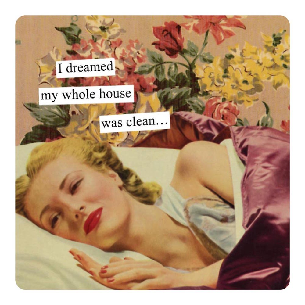 Anne Taintor Square Refrigerator Magnet - I Dreamed My Whole House Was Clean