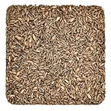 Rye Malt (5 lb) by Briess
