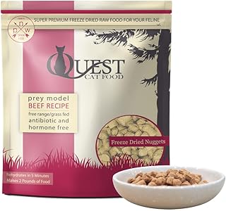 Quest Freeze-Dried Raw Beef Cat Food Bites