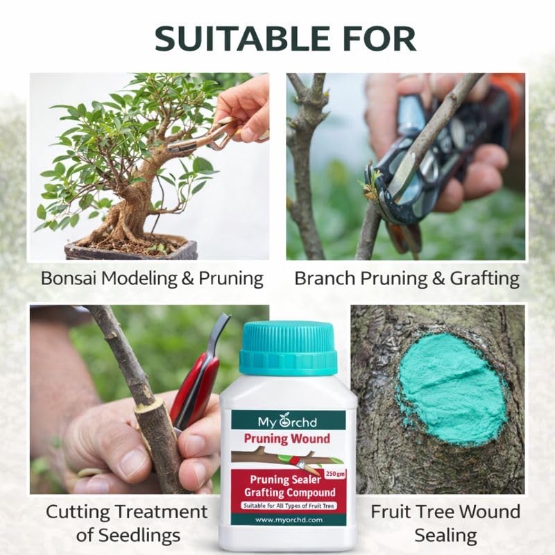 Image of Pruning Sealer Paste for Trees & Plants | Grafting & Wound Healing Cut Paste | Bonsai, Fruit Tree, Rose, Adenium | Tree Cut Sealant After Pruning | Pack of 250Gm-Aqua Color