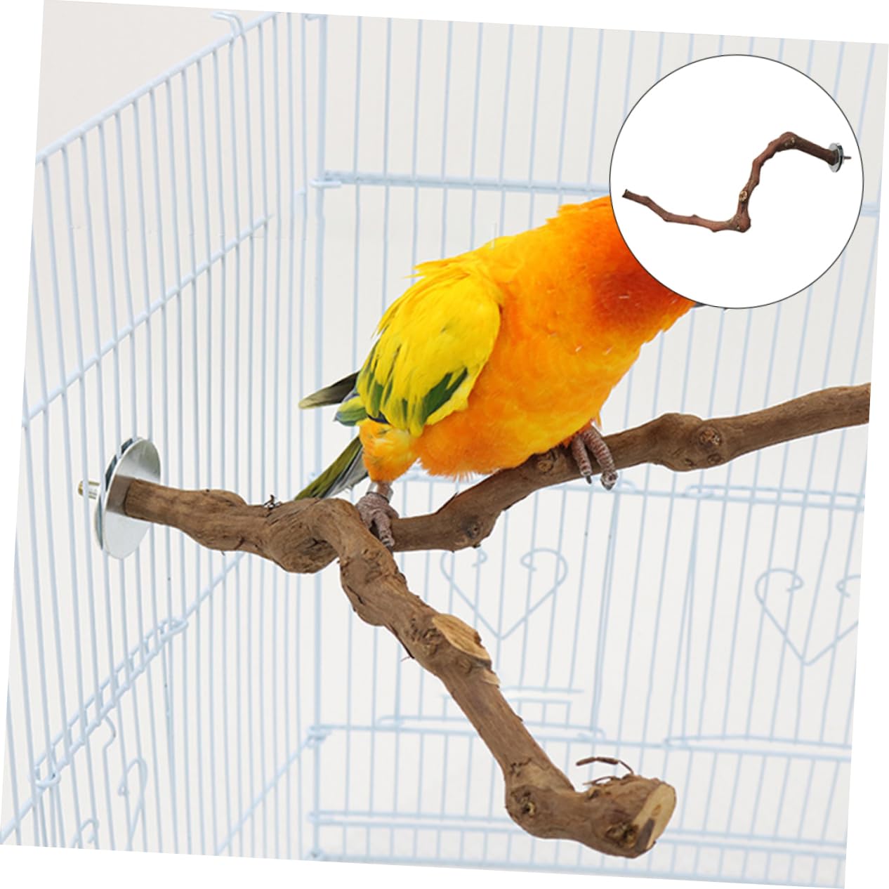 VANZACK 3stücke Standstange Vogelspielzeug Für Papageien Krallenpflege Perch Toy Einfacher Für Käfige Geeignet Fördert Aktivität Und Wohlbefinden