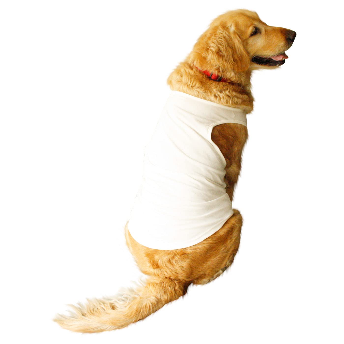 Ruse Pet Solid Round Neck Sleeveless Dog Vest Tank T-Shirt/Tees Apparel/Clothes/Tees Gift for Dogs(White) Small (B09VSQL8P9) Amazon Price History, Amazon Price Tracker