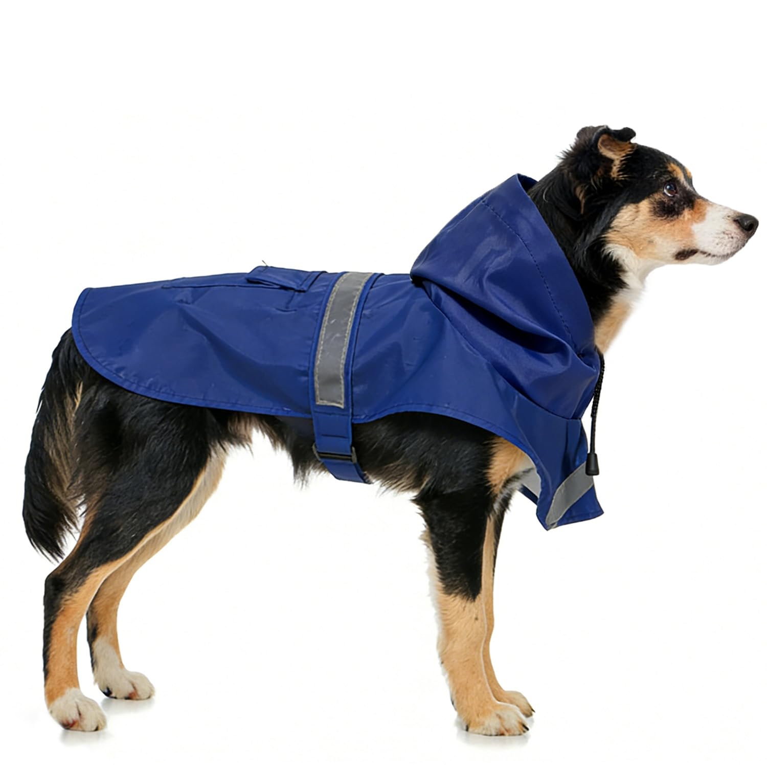 Guiding Star Manteau de Pluie pour Chien de Petite, Moyenne et Grande Taille - Imperméable avec Capuche - Veste de Pluie avec Bande réfléchissante - Bleu, Taille XL