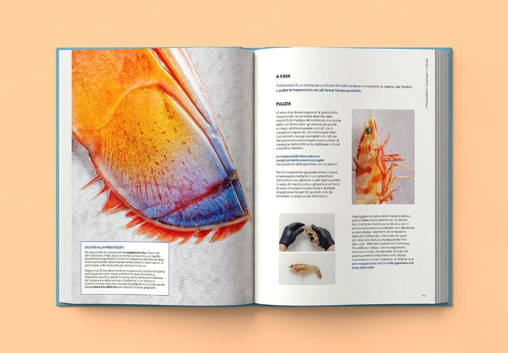 Fresco. Conoscere, scegliere e cucinare il pesce