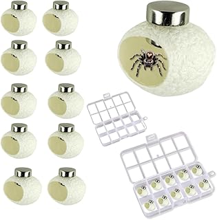 10 Sets Little Cocoon Huts for Jumping Spiders Cocoon Huts Jumping Spider Enclosure Accessories Pet Reptile Hide Habitat Accessories