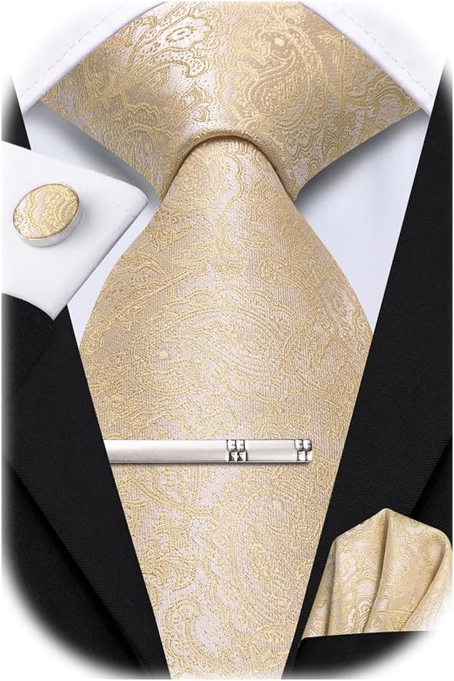 Hi-TieSilk Ties for Men Pink Blue Black Mens Ties Set 4 PCS Necktie Pocket Square Cufflinks Clip Pin for Wedding