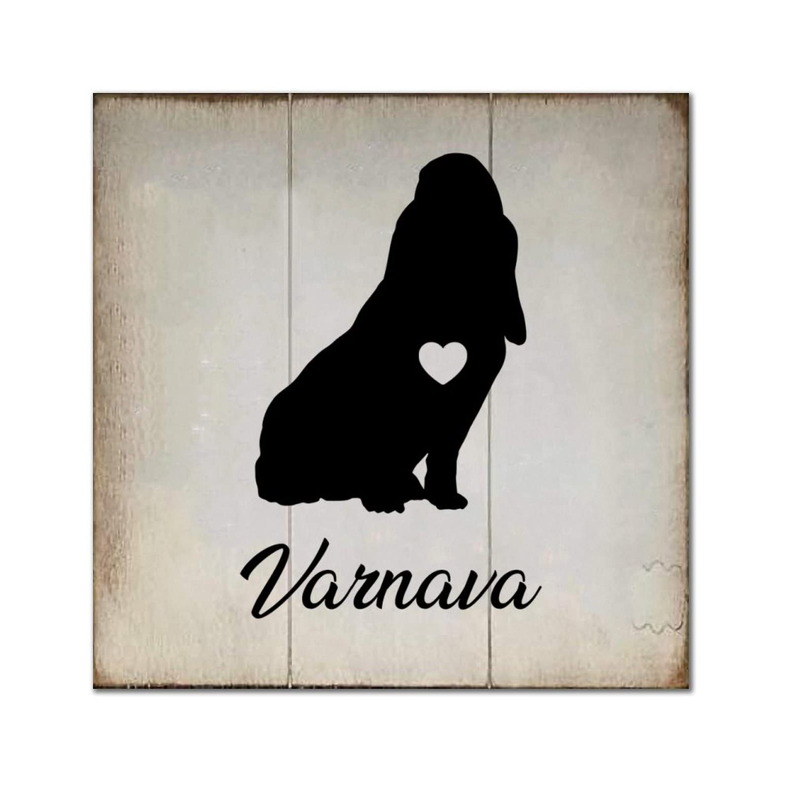 Plaque en bois personnalisée chien Boxatain décoration murale vintage maison salon 30cm