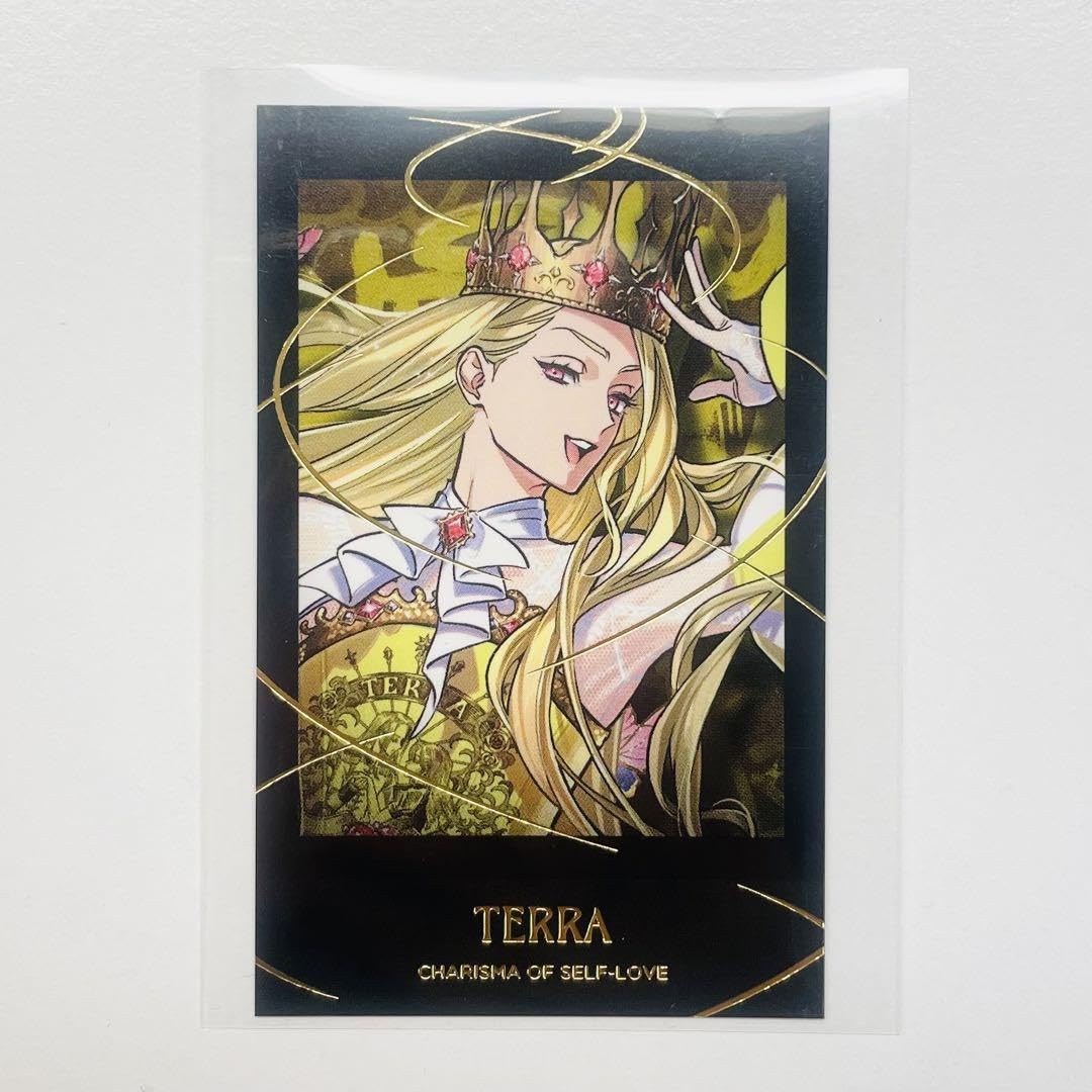 カリスマ セカンドブレイク 理解 チェキ風カード カリスマ セカンドブレイク 理解 チェキ風カード カリスマ