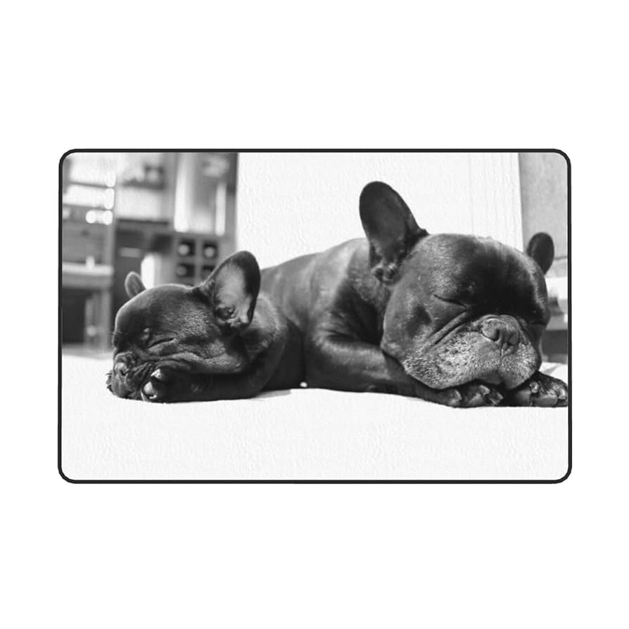 Amazon | フレンチブルドッグ 犬柄 カーペット 長方形