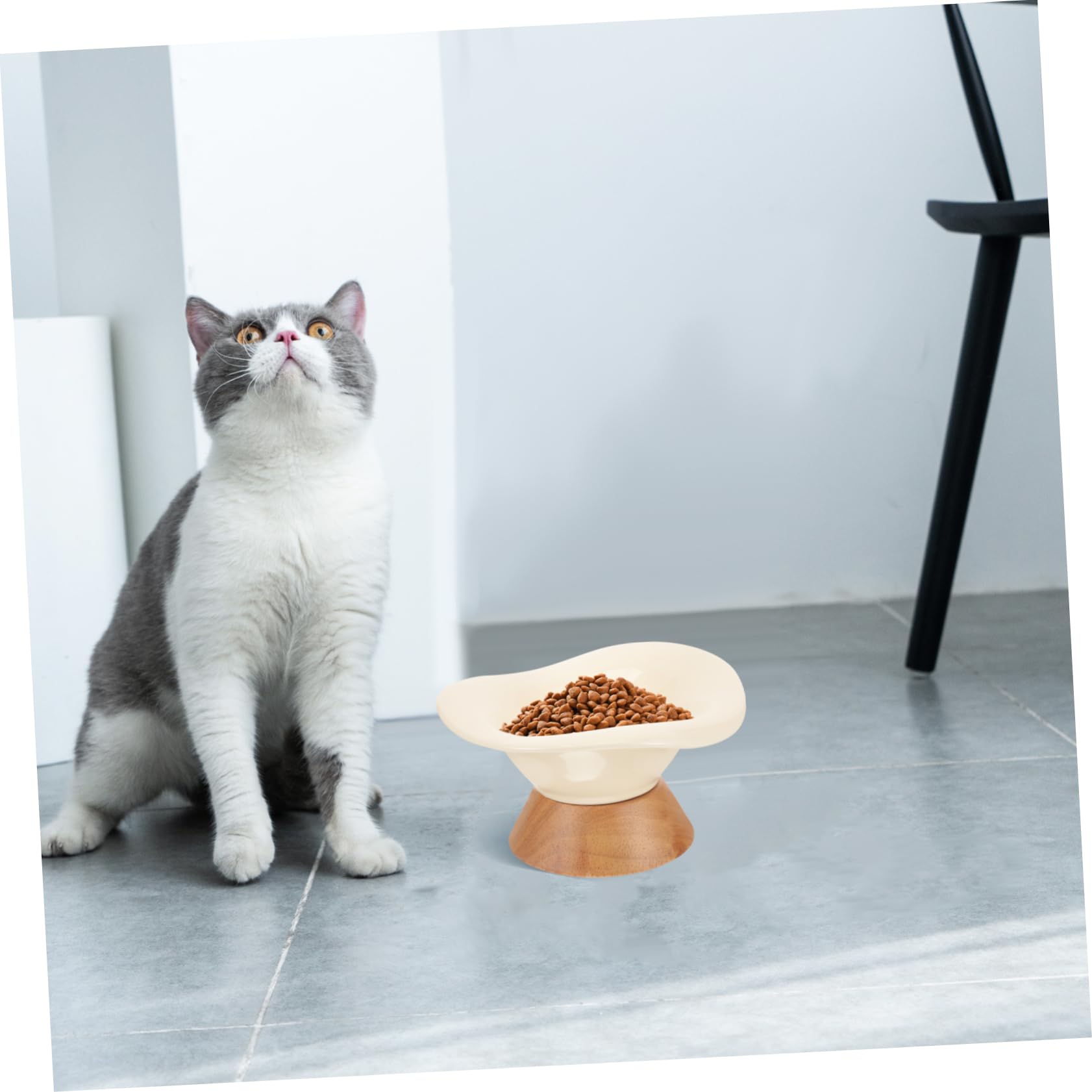 Cuenco para Gatos Flores Cuenco De para Gatos De Comida y Agua para Mascotas