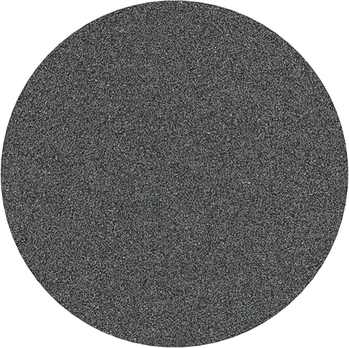 Bosch 10x PRO Plastic and Hard Stone F355 Schleifblatt (für Beton, Harter Stein, Ø 125 mm, Körnung 80, Professional Zubehör Kleiner Winkelschleifer)