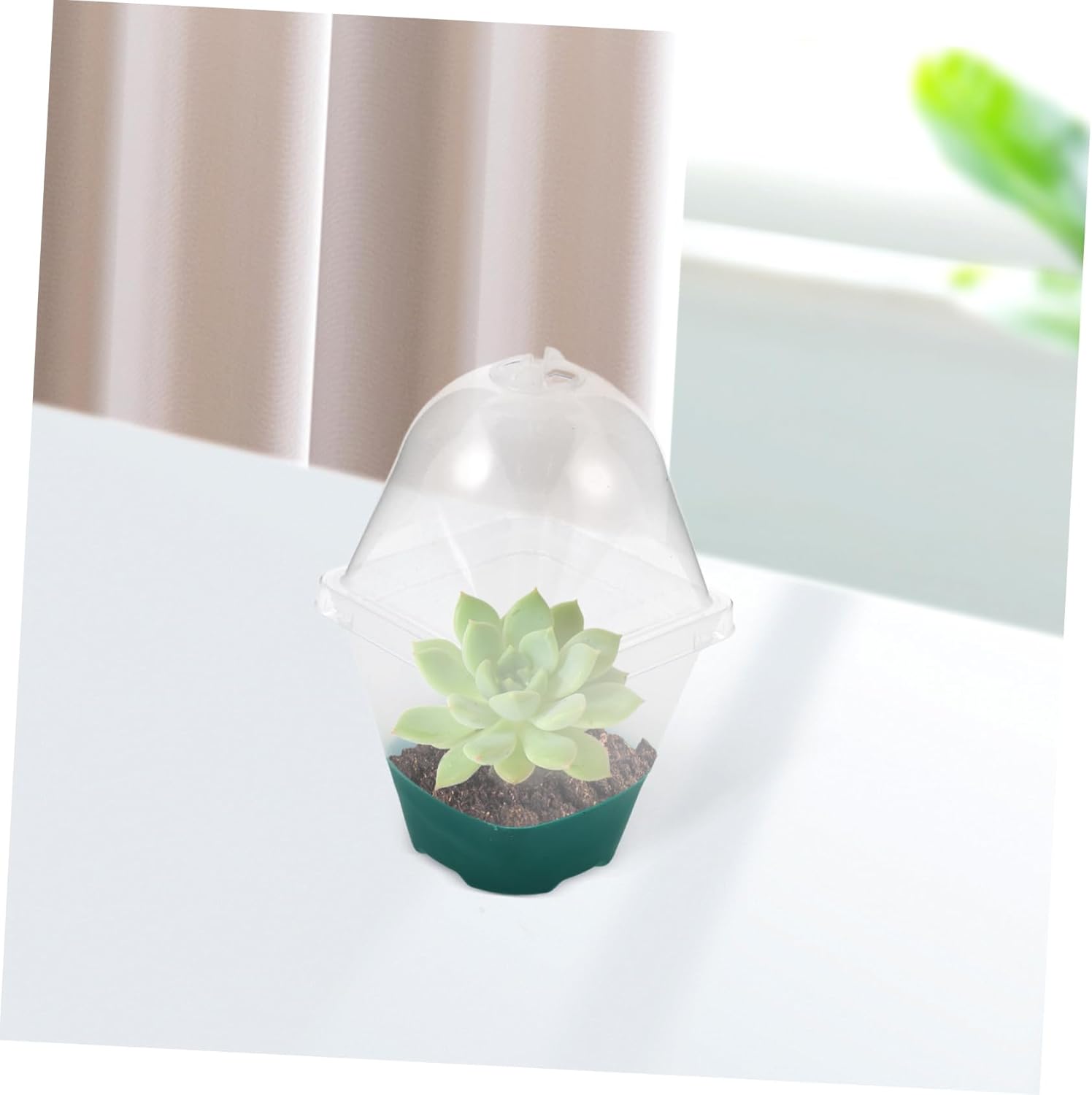 BESPORTBLE 5pcs Drainage Holes Plant Pot Plastic Outdoor Nursery Pot for Plants Small for Succulents Garden Planter for Home Use