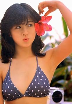 【貴重！】中森明菜 2L判生写真 当時物 5枚セット アイドル 希少 青春 Amazon.co.jp: 中森明菜 2L写真5枚セット : おもちゃ