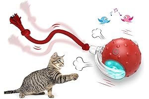 Interactive Rechargeable Battery Powered Cat Toy Ball
