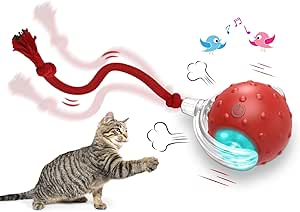 Giociv Interactive Cat Toys Ball for Indoor Cats Fast Rolling on Carpet, Chirping & Motion Activate Cat Toys (Red)