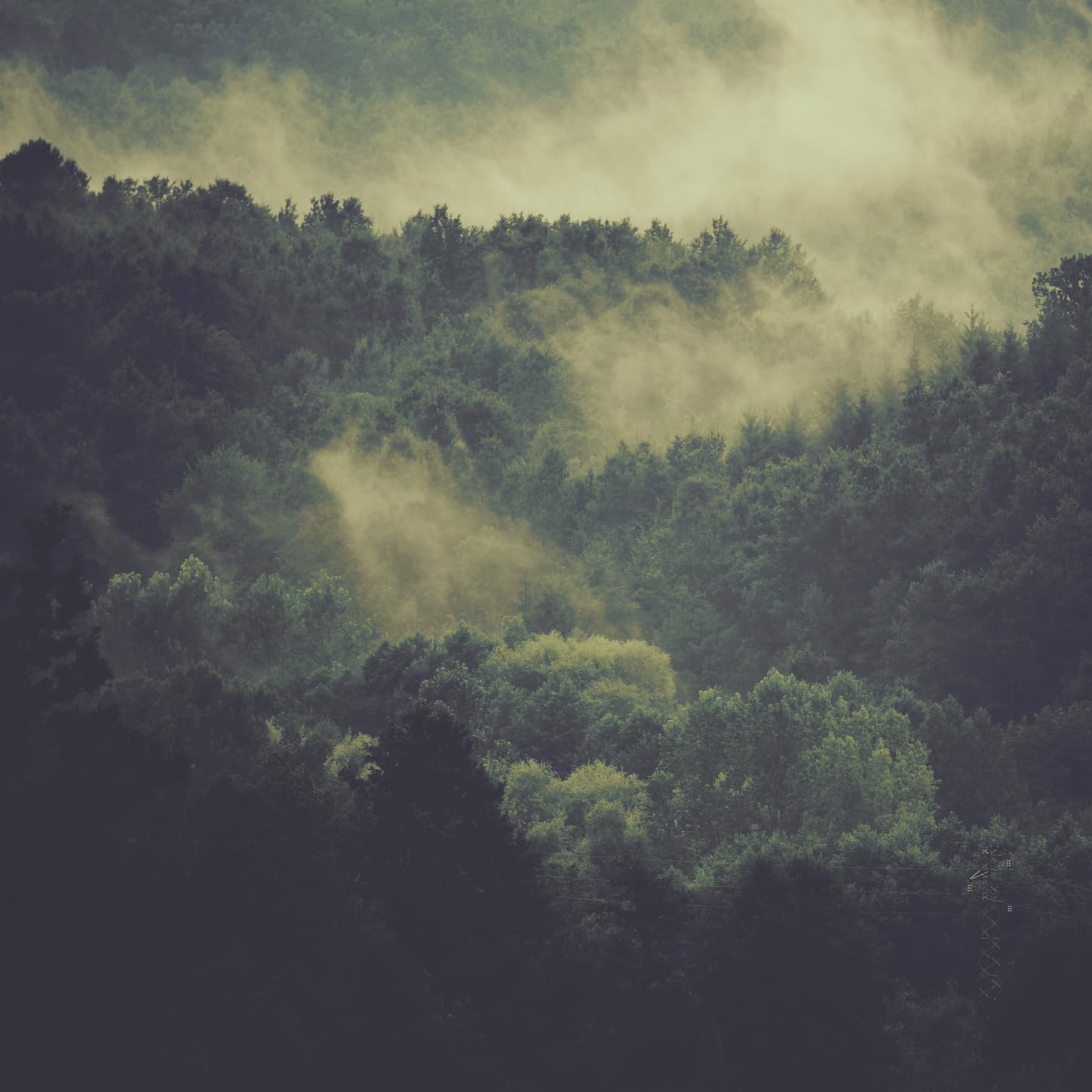 Nature Sounds For Meditation