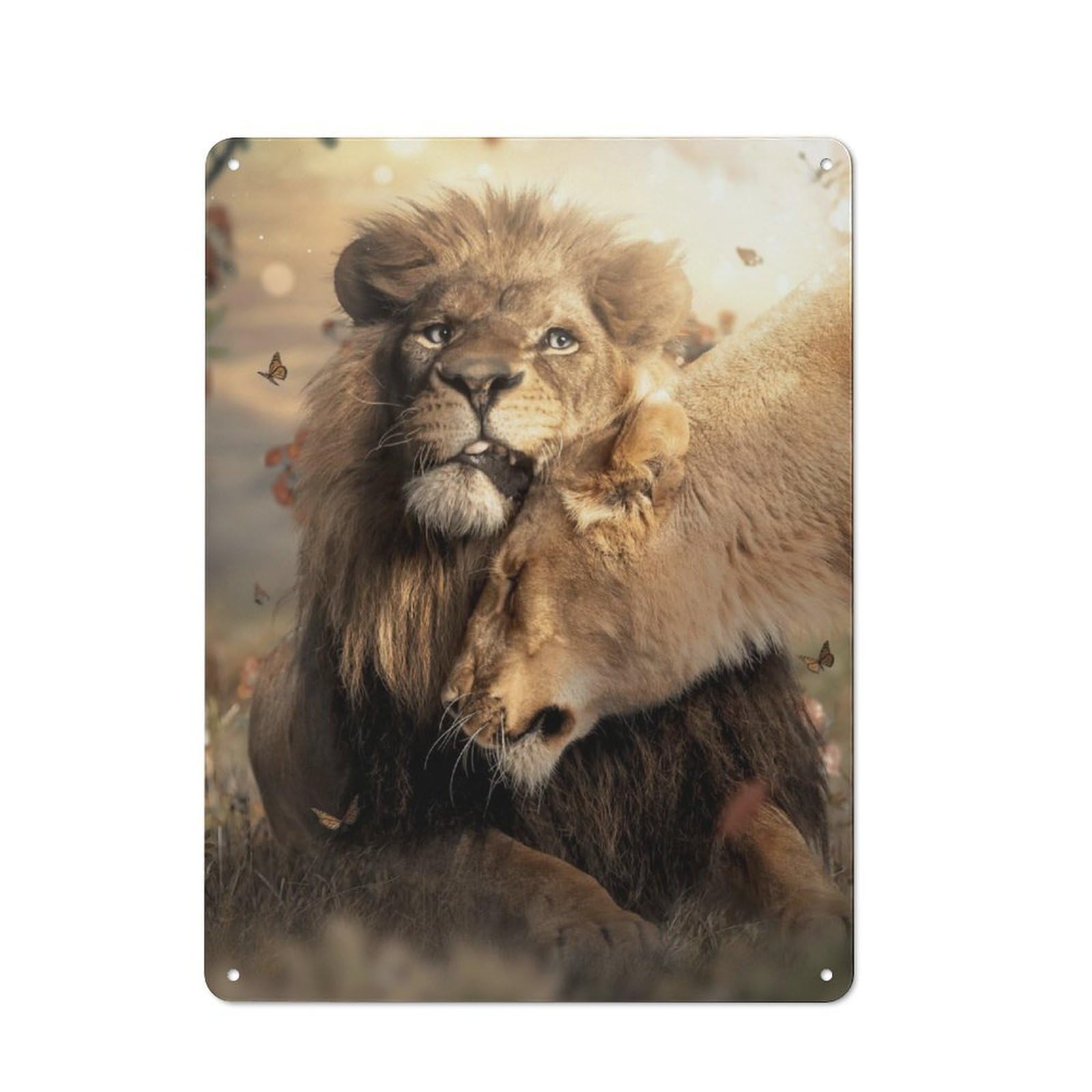 Lion Cuddles Metal Wall Plaque 40x30cm, Everyday Small Space Decor for Flat, Dorm Room, Lounge Or Cafe