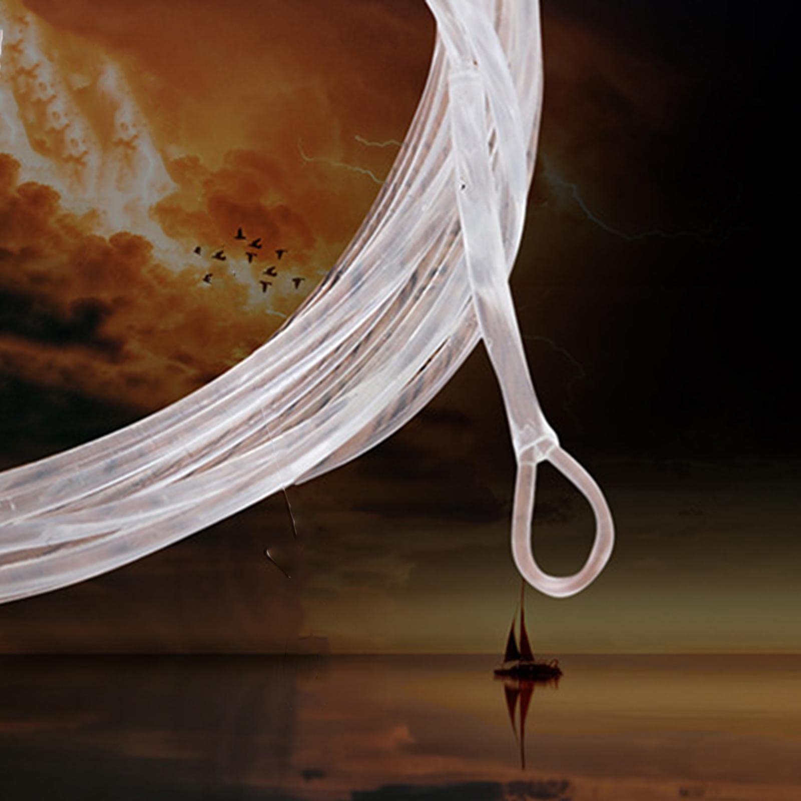 rockible Looped Running Line for/Sinking Applications, Clear Floating, 10FT 24lbs