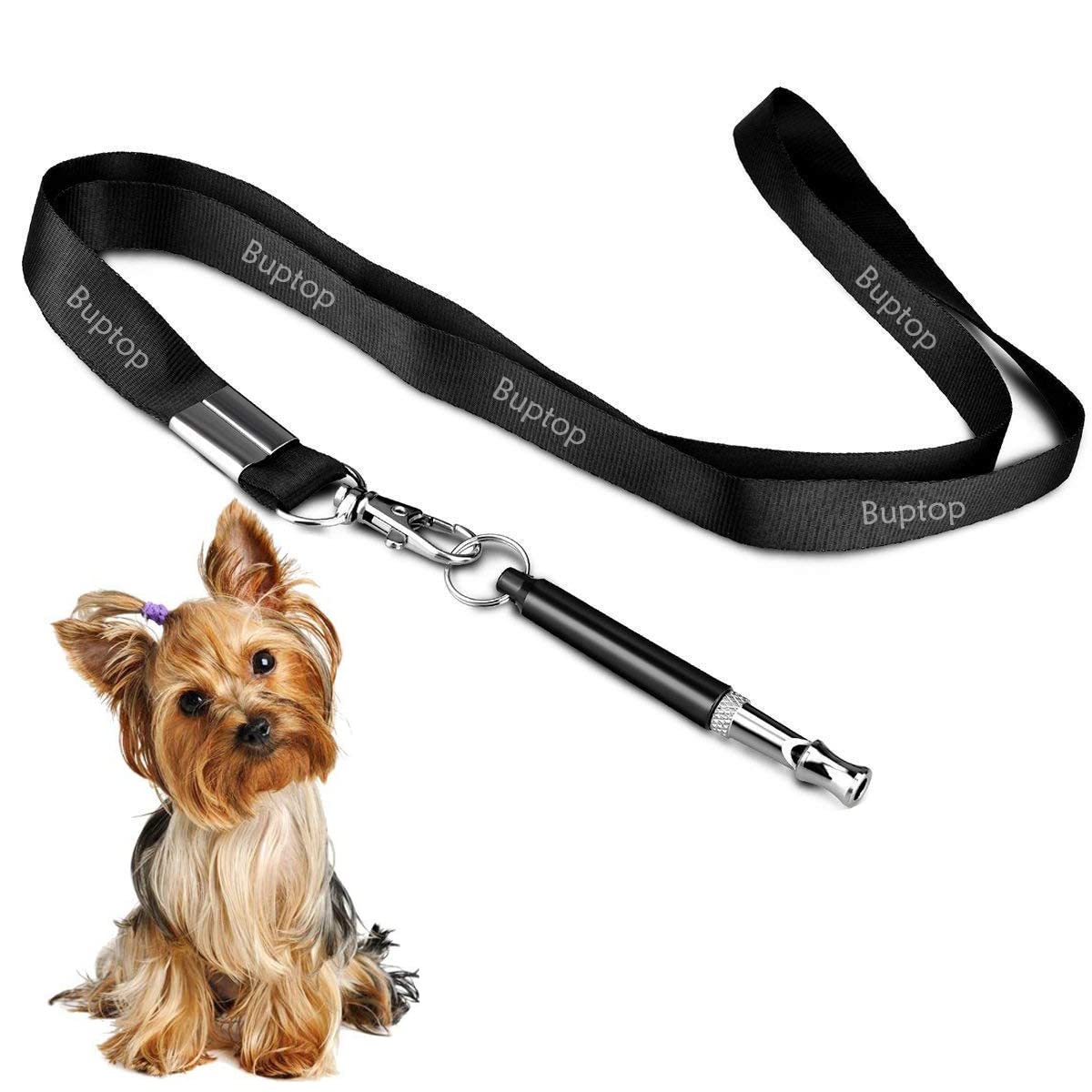 Are Dog Whistles Good For Recall