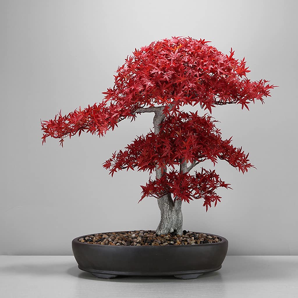 Árbol bonsái artificial Simulación de plantas artificiales Bonsai de arce rojo Restaurante Decoración de plantas falsas de estilo japonés Cocina Restaurante de sushi Decoración de salón de té Decoraci