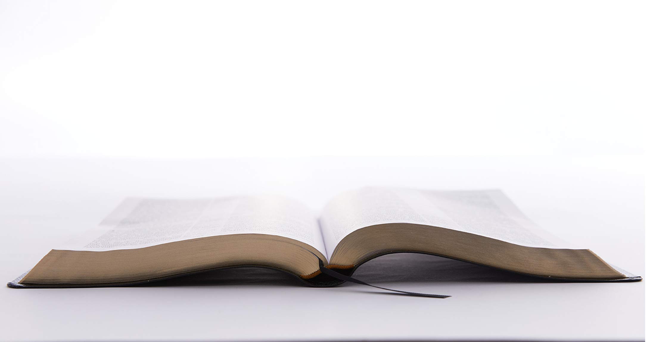 Holy Bible: King James Version, Black, Bonded Leather, Giant Print Reference