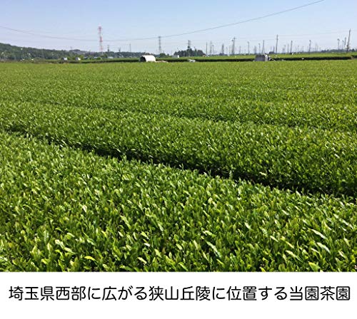 さやま深蒸し本舗沢田園 抹茶入玄米茶ティーバッグ