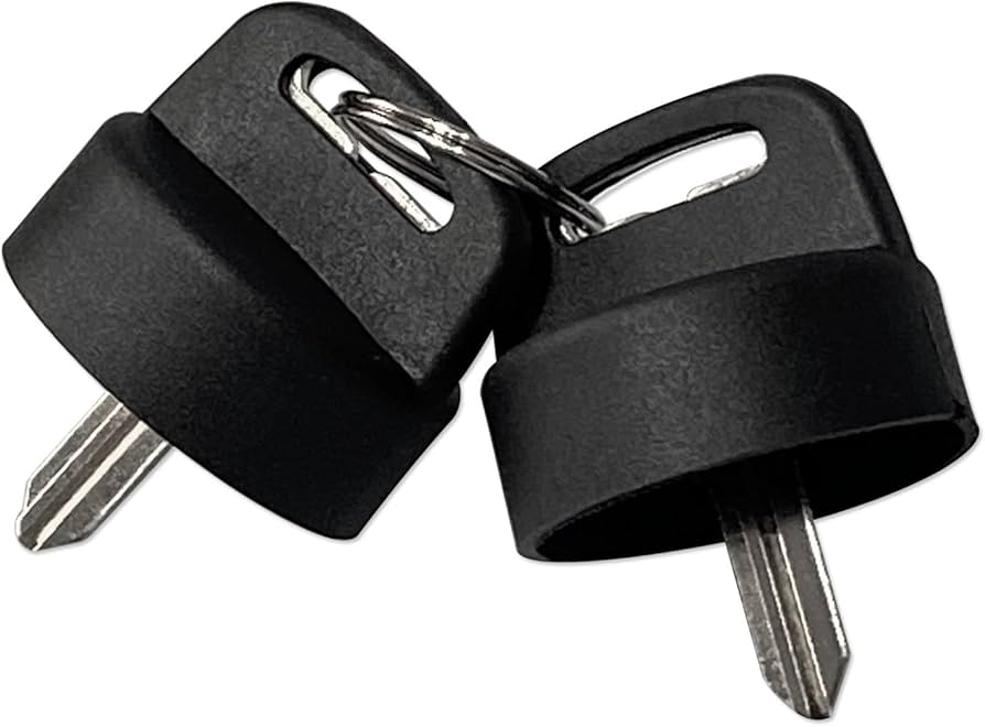 Amazon.com: (2) Blank Keys 4010278 With 2 Ignition Key Cover For