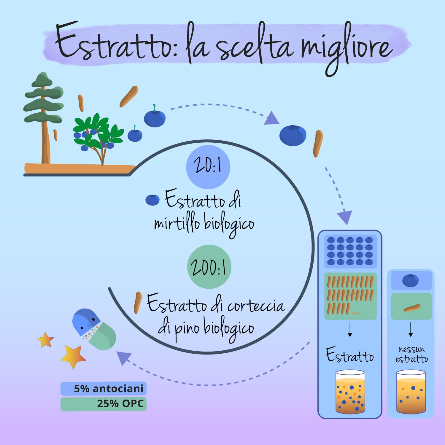MIRTILLO NERO BIO Vegavero® | L’UNICO BIOLOGICO | con Corteccia di Pino | Benessere del MICROCIRCOLO e della VISTA | 90 capsule | Bilberry | Vegan