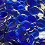 Transparent Blue