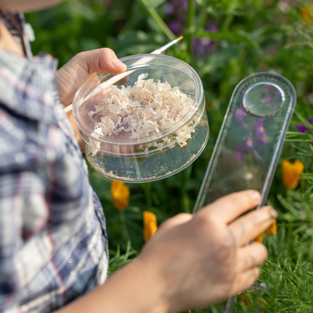 Andermatt Biogarten Adalia Marienkäferzucht Set mit Gutschein – Marienkäfer selber züchten, Aufzuchtset mit Box, Lupe & Anleitung, Lern- & Naturerlebnis für Garten & Kinder