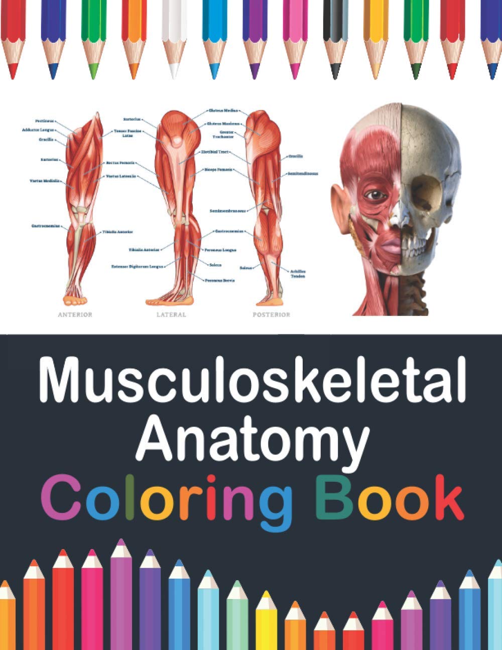 Buy Musculoskeletal Anatomy Coloring Book: Now you can learn and master