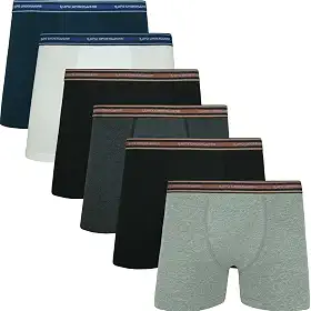 Kit 6 Cueca Boxer Lupo Algodão Hipoalergênica Masculina Adulto