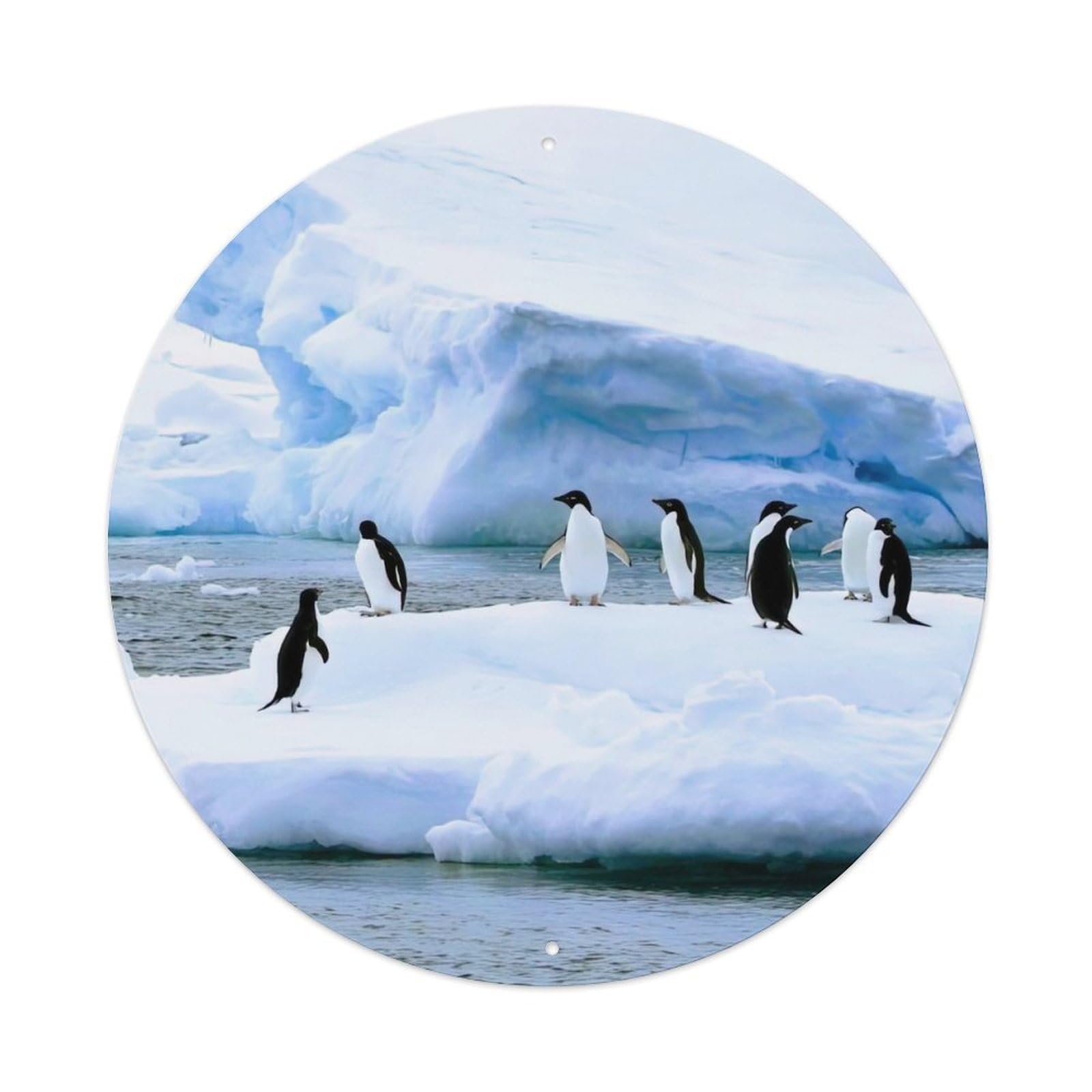 Arctic Animals Penguin on Ice Vintage Metal Tin Sign Plaque Wall Decor for Cafe, Club Bar, Office, Garden Metal Poster 8x8Inch