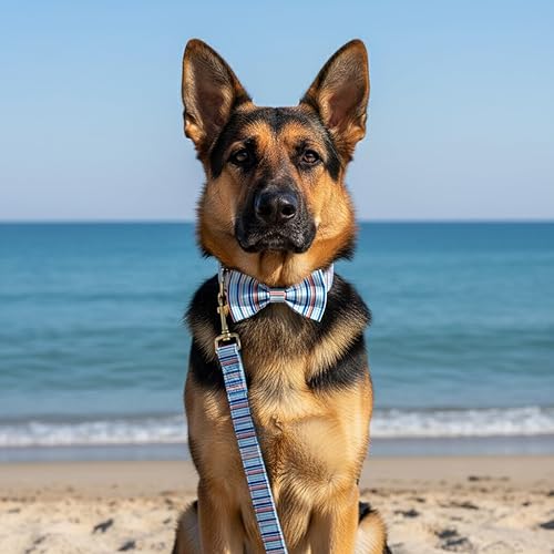 Miniatura 84 de PETDURO Collar de perro personalizado con nombre y teléfono grabado en hebilla de metal – Personalizado para perros medianos y grandes – Impresiones