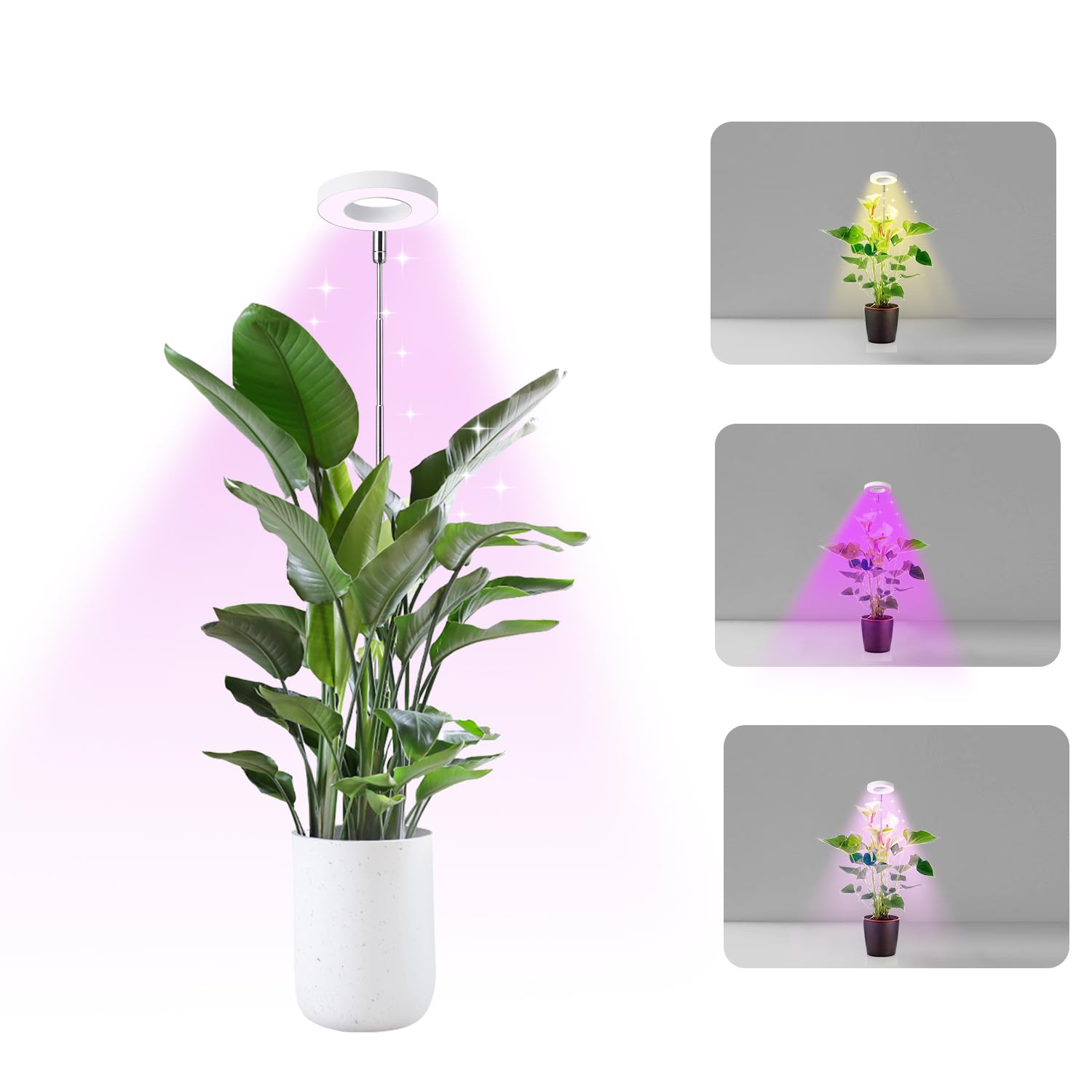 THE LEGACY thelegacyindia.in Grow Light for Indoor Plants, Full Spectrum LED, Adjustable Height and Brightness, Timer, Ideal for Small Plants (Multi Color Light) (Multi Color) (B0D95V4M9F) Amazon Price History, Amazon Price Tracker