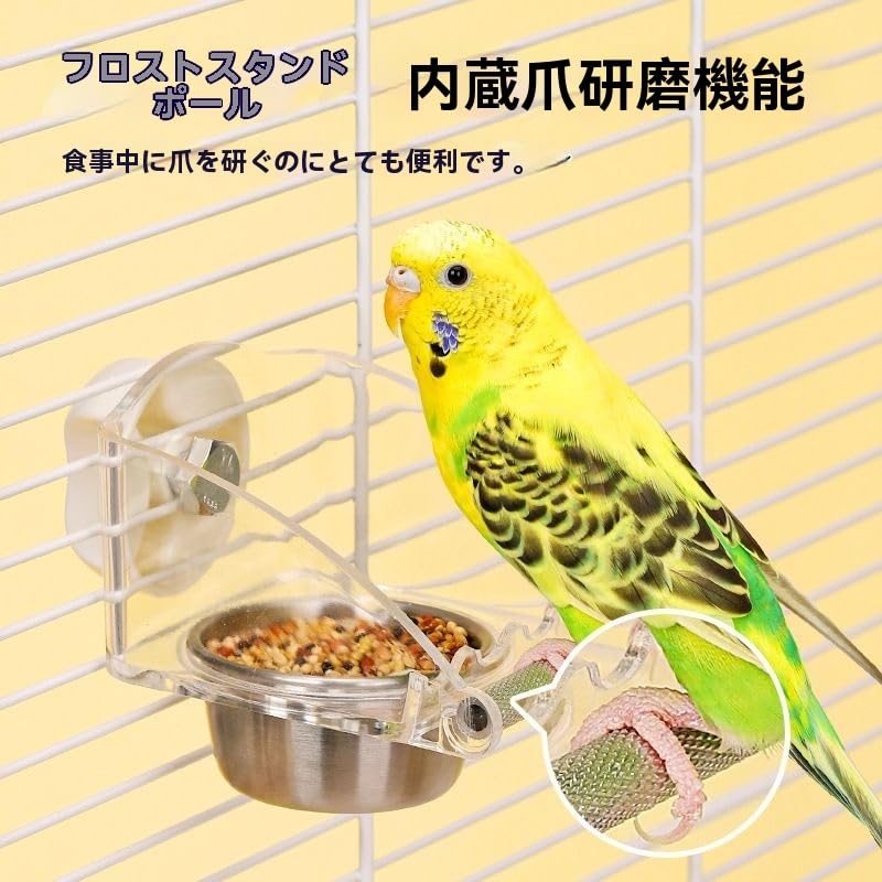 Amazon | インコ 餌入れ 鳥 ステンレス製 19×15.2×12cm 防散式